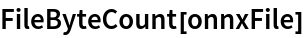 FileByteCount[onnxFile]
